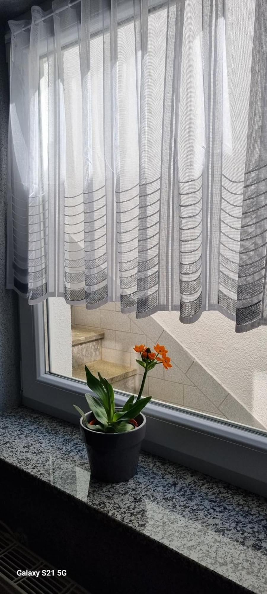 באלינגן Ferienwohnung Elefanten מראה חיצוני תמונה